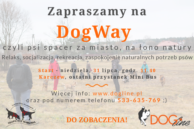 Szkolenie psów Warszawa - DOG Line