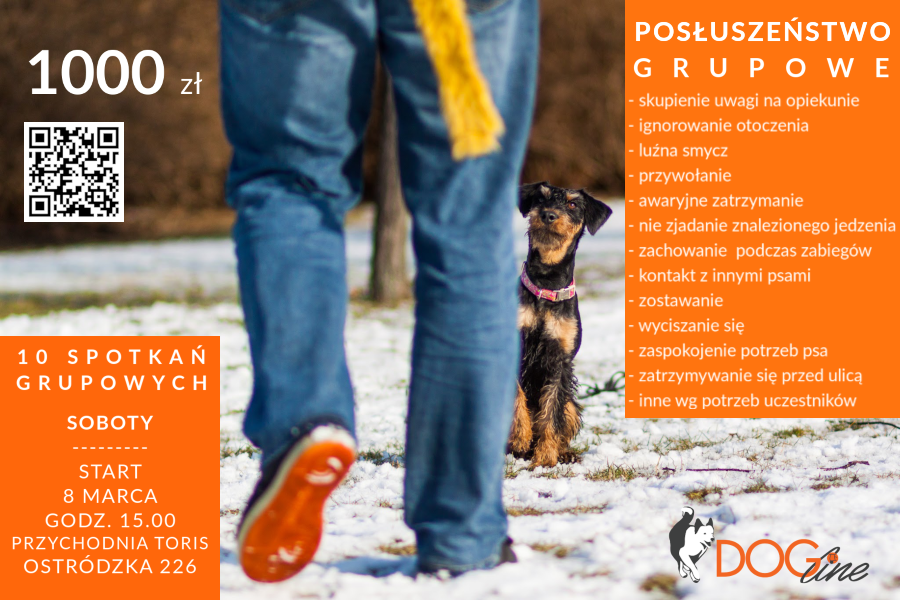 Szkolenie psów Warszawa - DOG Line