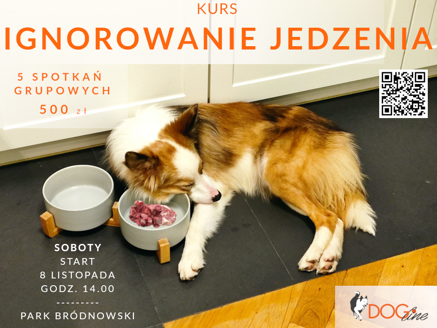 Szkolenie psów Warszawa - DOG Line