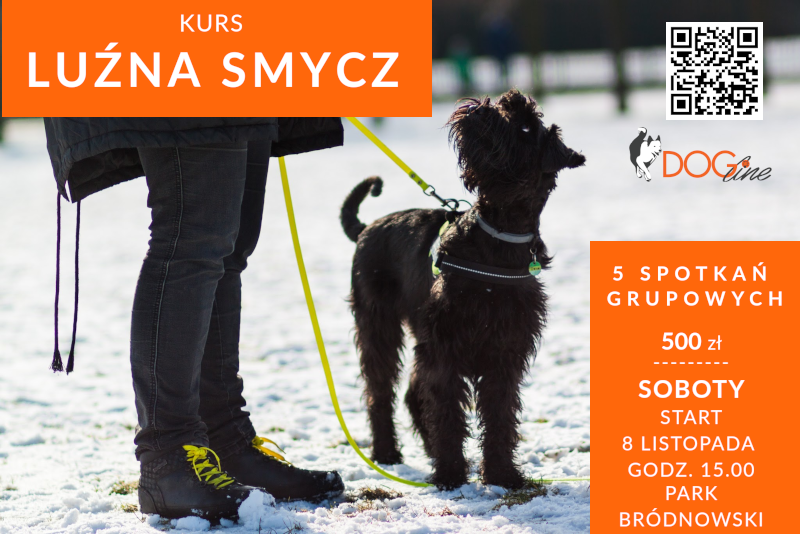 Szkolenie psów Warszawa - DOG Line
