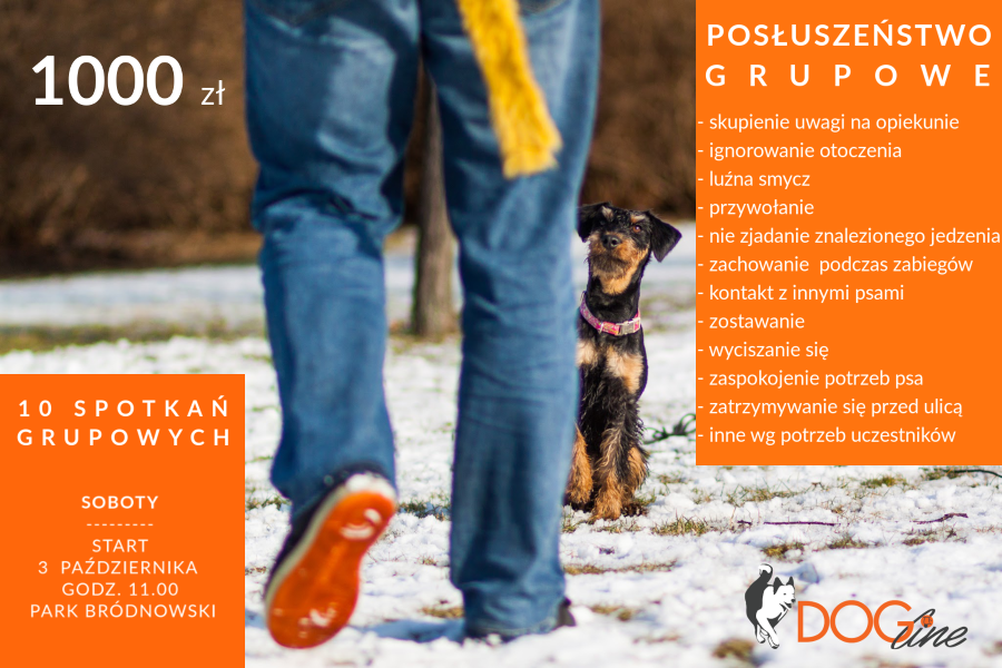 Szkolenie psów Warszawa - DOG Line