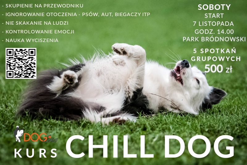 Szkolenie psów Warszawa - DOG Line