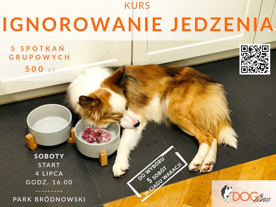 Szkolenie psów Warszawa - DOG Line