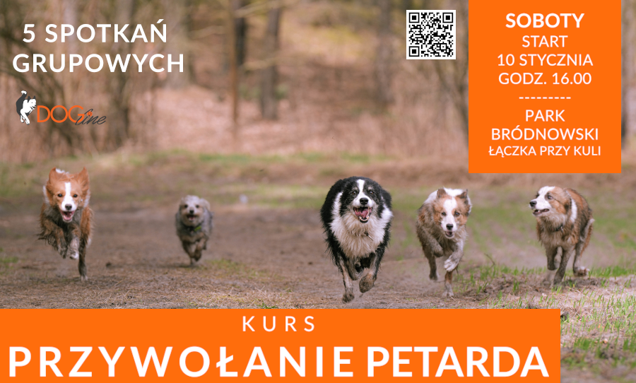 Szkolenie psów Warszawa - DOG Line