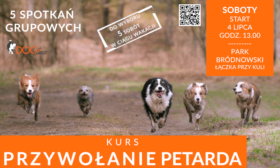 Szkolenie psów Warszawa - DOG Line
