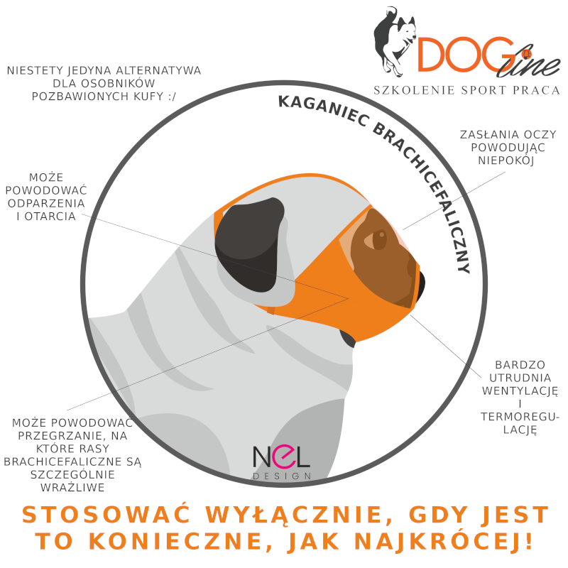 Szkolenie psów Warszawa - DOG Line