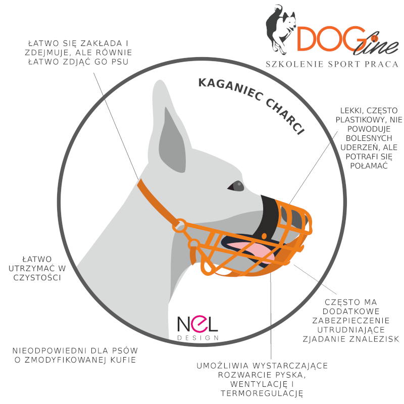 Szkolenie psów Warszawa - DOG Line