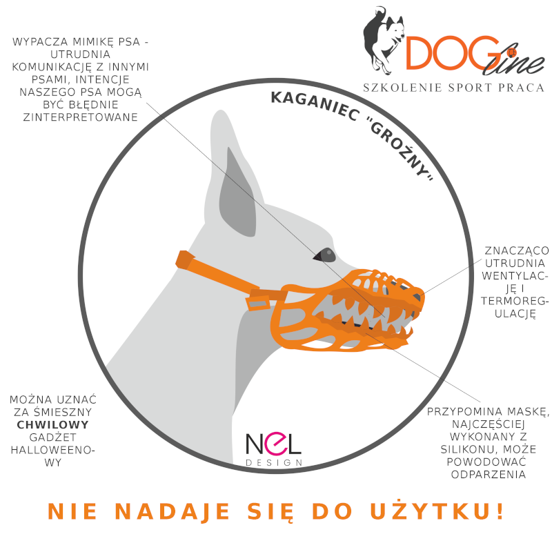 Szkolenie psów Warszawa - DOG Line