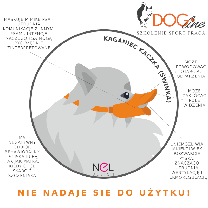 Szkolenie psów Warszawa - DOG Line
