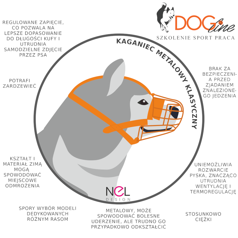 Szkolenie psów Warszawa - DOG Line