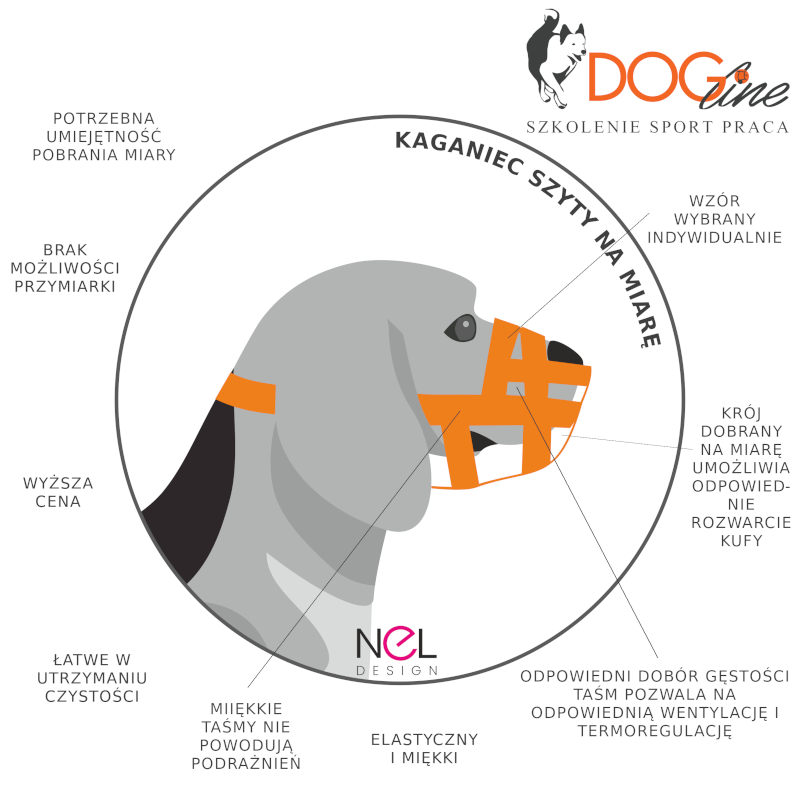 Szkolenie psów Warszawa - DOG Line