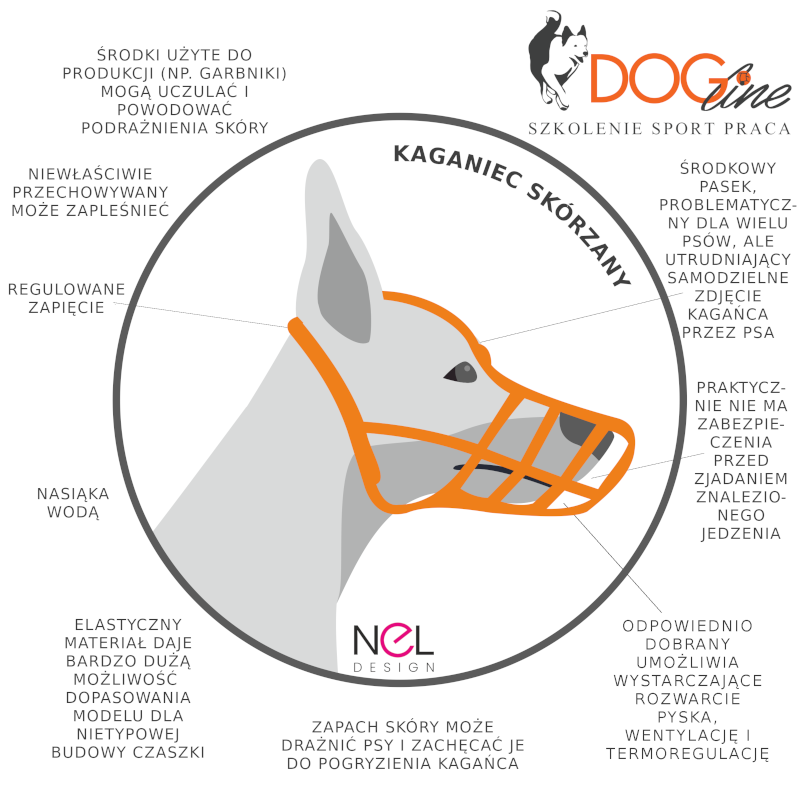 Szkolenie psów Warszawa - DOG Line
