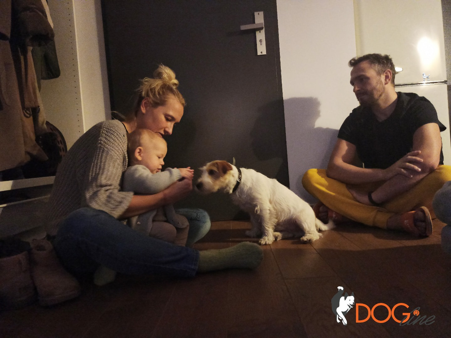 Szkolenie psów Warszawa