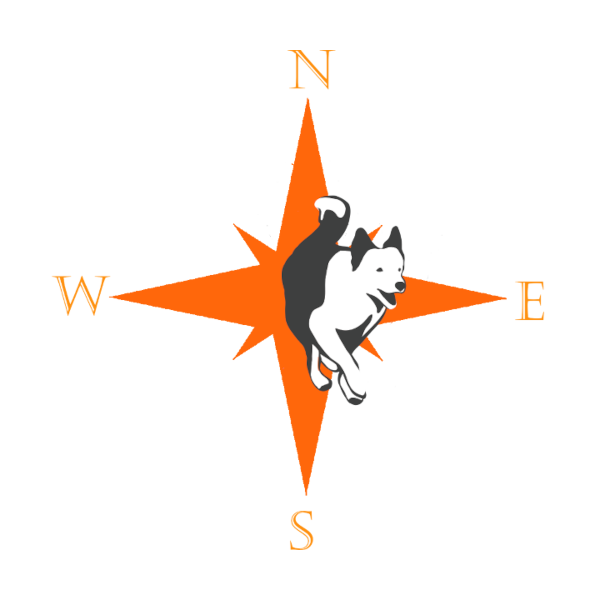 Szkolenie psów Warszawa - DOG Line